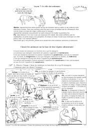 LeÃ§on 7: Le rÃ´le des animaux Classer les animaux sur la base de ...