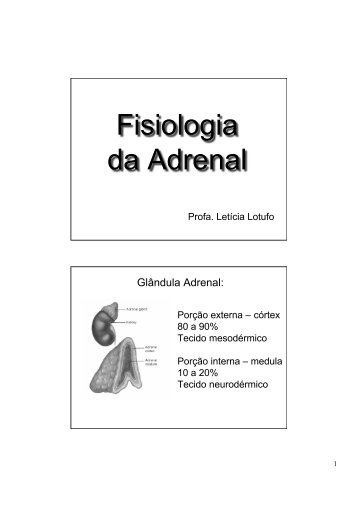 Fisiologia da Adrenal