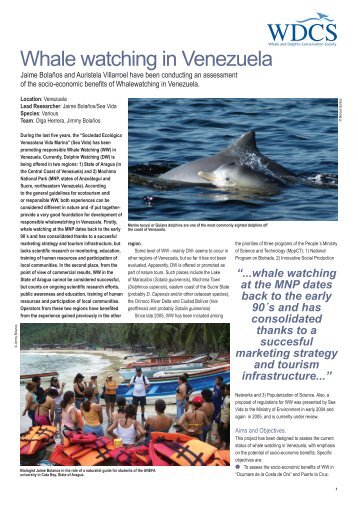 Whale watching in Venezuela