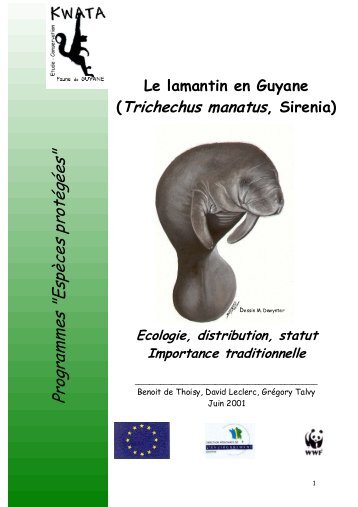 Le lamantin en Guyane - Association Kwata