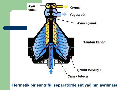 SÃ¼t