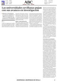 prowinner l carnitina PROWINNER