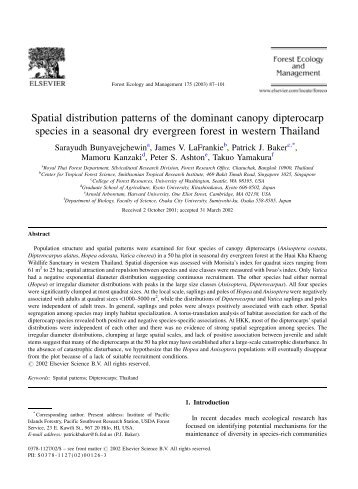 Spatial distribution patterns of the dominant canopy dipterocarp ...