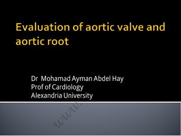 Dr Mohamad Ayman Abdel Hay Prof of ... - cardioegypt2011