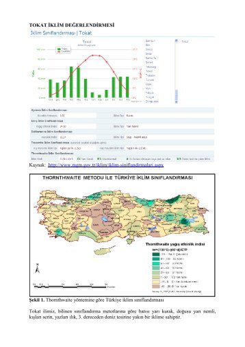 Tokat