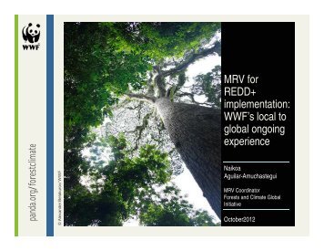 MRV for REDD+ implementation: WWF's local to global ongoing ...