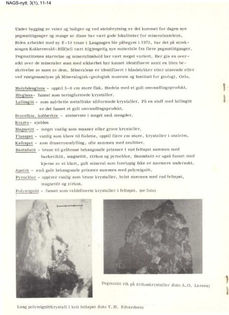 Mineraler fra Langangen pdf - NAGS