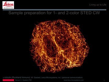 Sample preparation for 1- and 2-color STED CW