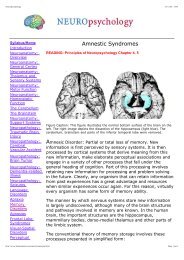 Amnestic Syndromes - The Brain from Top to Bottom