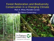 Forest Restoration and Biodiversity Conservation in a Changing ...