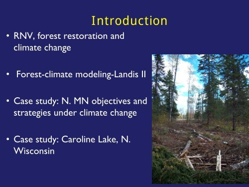 Forest Restoration and Biodiversity Conservation in a Changing ...