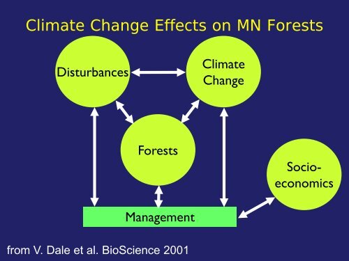 Forest Restoration and Biodiversity Conservation in a Changing ...