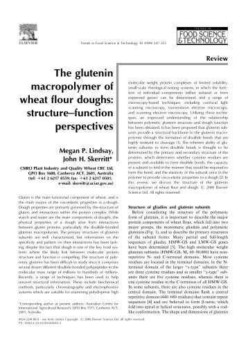The glutenin macropolymer of wheat Â¯our doughs: structure ...