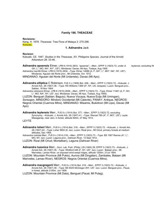 Family 186. THEACEAE 1. Adinandra Jack MINDANAO: Agusan del ...