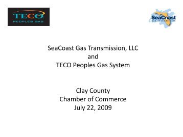 SeaCoast Gas Transmission, LLC and TECO Peoples Gas System ...