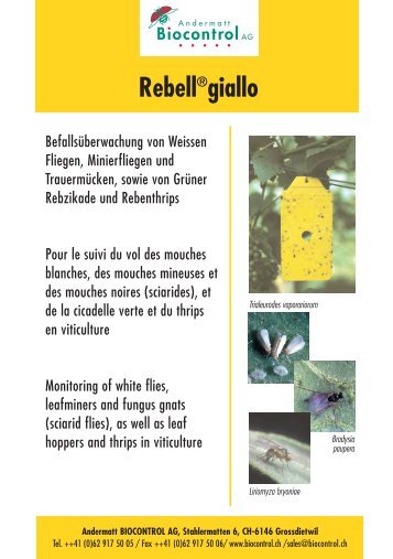 Rebell®giallo - BIOFA