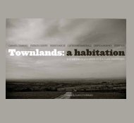 Townlands: a habitation - Alan Counihan Visual Artist