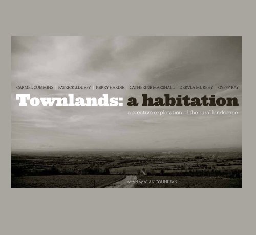 Townlands: a habitation - Alan Counihan Visual Artist