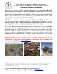 About Algerian Sea Lavender (Limonium ramosissimum) an early ...