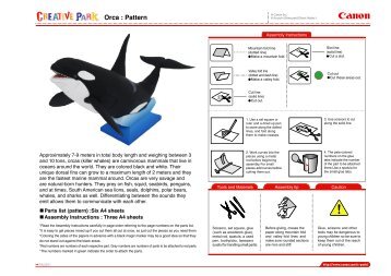 Orca : Pattern
