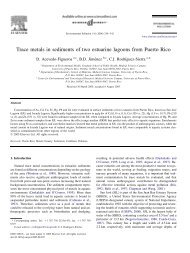 Trace metals in sediments of two estuarine lagoons from Puerto Rico