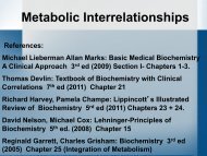 Metabolic Interrelationships