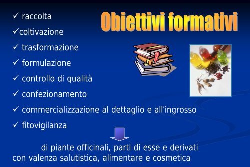 L'offerta formativa universitaria nel settore delle ... - Enrico Avanzi