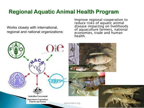 Dr Ambekar E. Eknath - GENDER IN AQUACULTURE AND ...