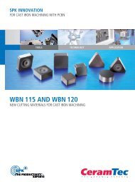 WBN 115 AND WBN 120 - CeramTec