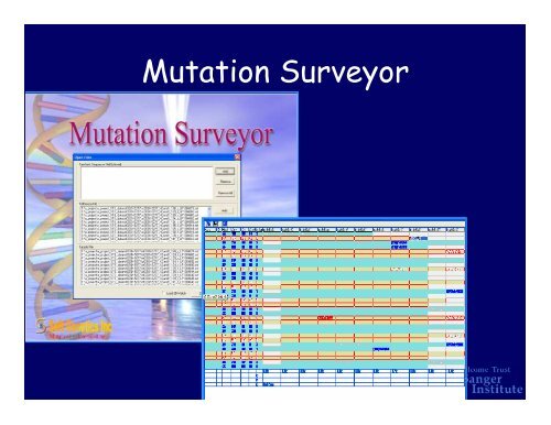 Analysis of sequence data in the cancer genome project