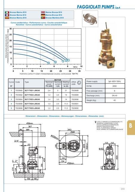 V - Faggiolati Pumps