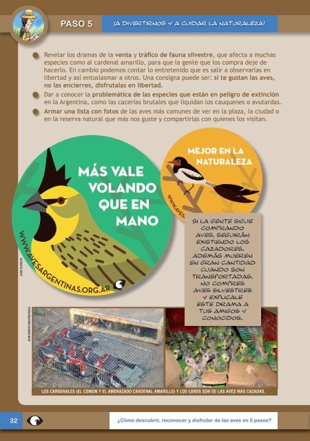 Cuadernillo de observacion de aves para chicos en baja