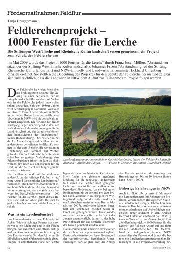 Feldlerchenprojekt – 1000 Fenster für die Lerche - Stiftung ...