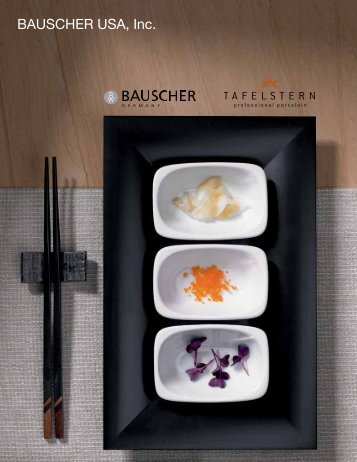 Bauscher USA Catalog 1 - The Action Group