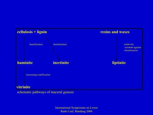 Overview of the 'Classification of huminite ICCP System 1994'