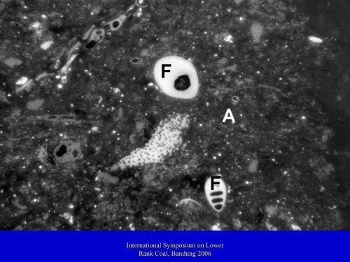 Overview of the 'Classification of huminite ICCP System 1994'