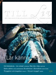 Ladda ner hela numret som pdf - Till Liv