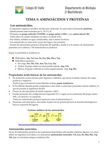 AMINOÃCIDOS Y PROTEÃNAS - BiologÃ­a El Valle