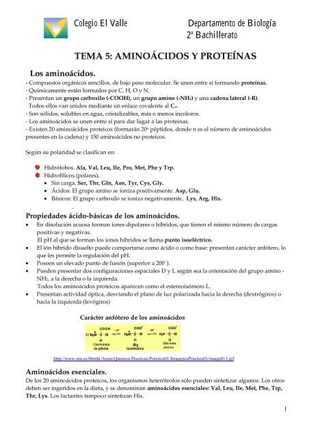 AMINOÃCIDOS Y PROTEÃNAS - BiologÃ­a El Valle