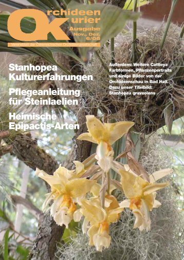 Ãœber Stock und Stein Steinlaelien - Austrian Orchid Society