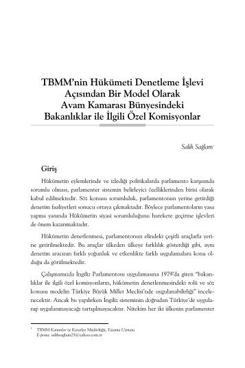 TBMM'nin Hükümeti Denetleme İşlevi Açısından ... - Yasama Derneği