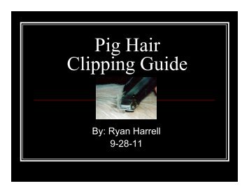 Pig Hair Clipping Guide - The Judging Connection .com