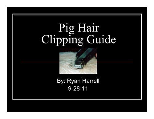 Pig Hair Clipping Guide - The Judging Connection .com