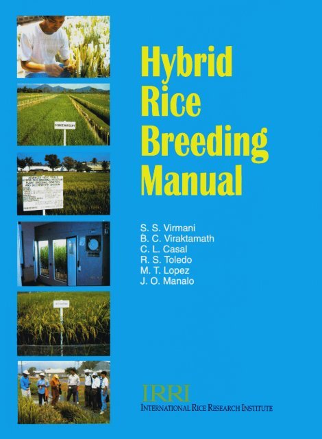 Hybrid rice breeding manual - IRRI books - International Rice ...
