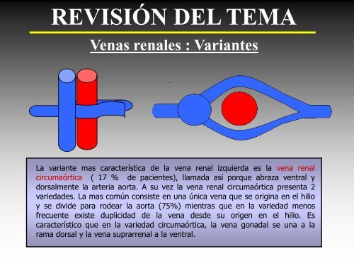 REVISIÓN DEL TEMA