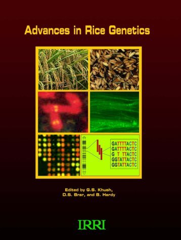Advances in Rice Genetics - IRRI books - International Rice ...