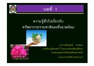 à¸ªà¸´à¹à¸à¹à¸§à¸à¸¥à¹à¸­à¸¡