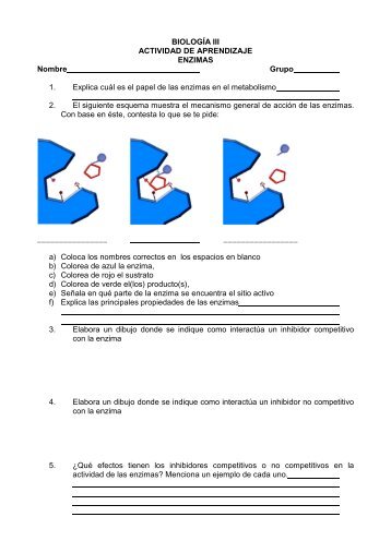 Enzimas ejercicio 2012.pdf