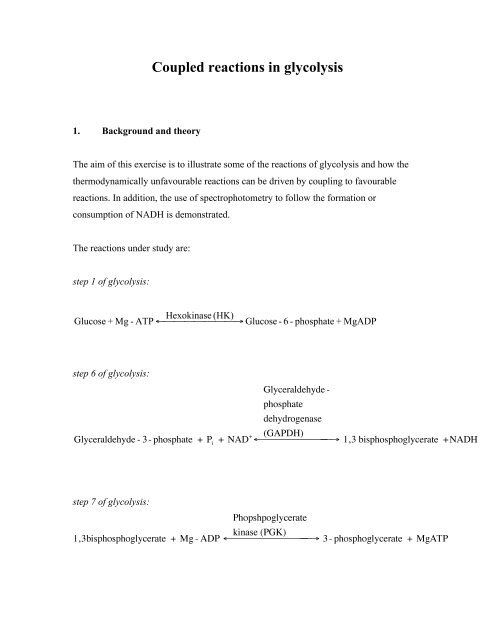 Coupled reactions in glycolysis