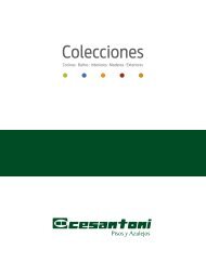 Catalogo Cesantoni 2013 - ARFI